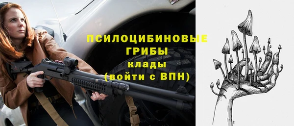 Альфа ПВП Арсеньев