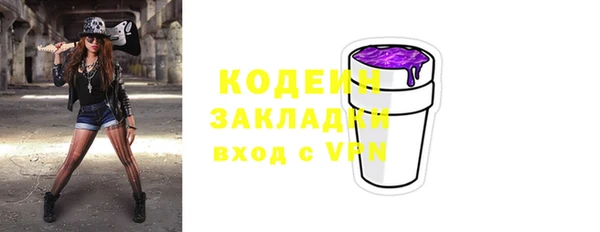 шишки Сосновка