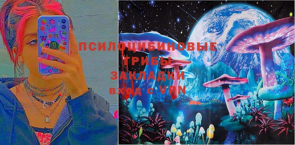 Альфа ПВП Арсеньев
